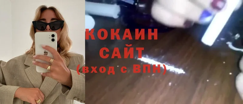 Cocaine FishScale  mega ТОР  Завитинск 